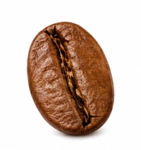 Grano de tueste medio
