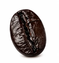 Grano de tueste oscuro